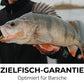 🎣 Uniwersalny teleskopowy zestaw wędkarski