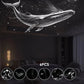 🔥 50% RABATU 🌌 Projektor gwiaździstego nieba i lampka nocna 2 w 1 ✨ Zamień pokój w magiczne gwiaździste niebo i stwórz spokojną atmosferę wieczoru 🛌