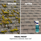 🌧️ Spray do czyszczenia dachów i alg z mchu – na wiele powierzchni – spryskaj, spłucz i ciesz się blaskiem! 🏠✨